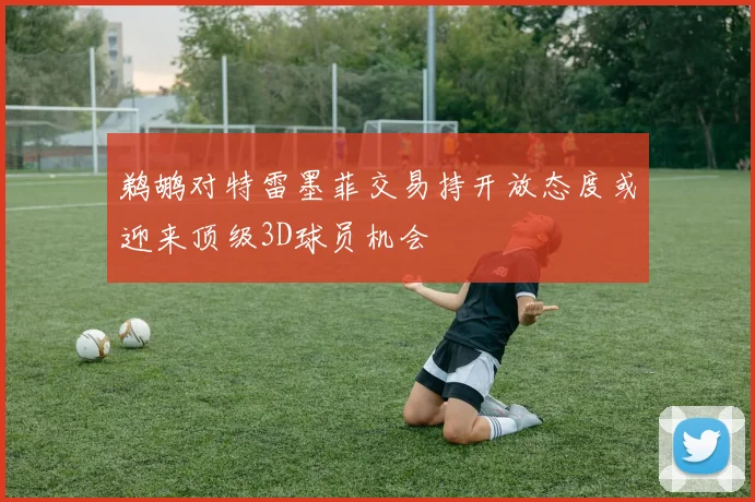 鹈鹕对特雷墨菲交易持开放态度或迎来顶级3D球员机会